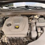 WhatsApp Image 2026 02 01 at 10.56.15 (1)