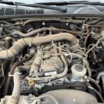 645260923 122105253873257493 5176668807660425298 n